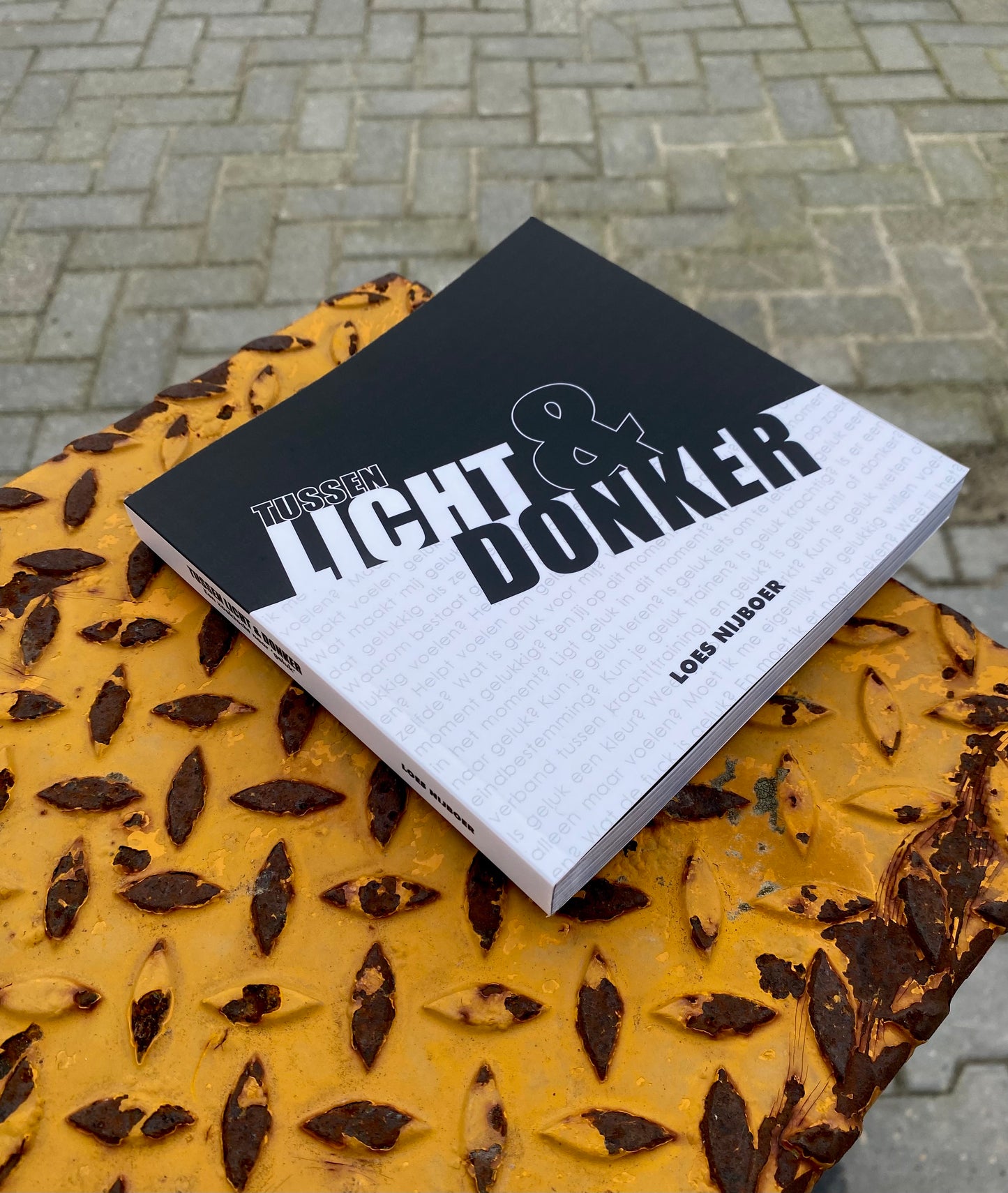💻 DIGITALE VERSIE - 'Tussen Licht & Donker'