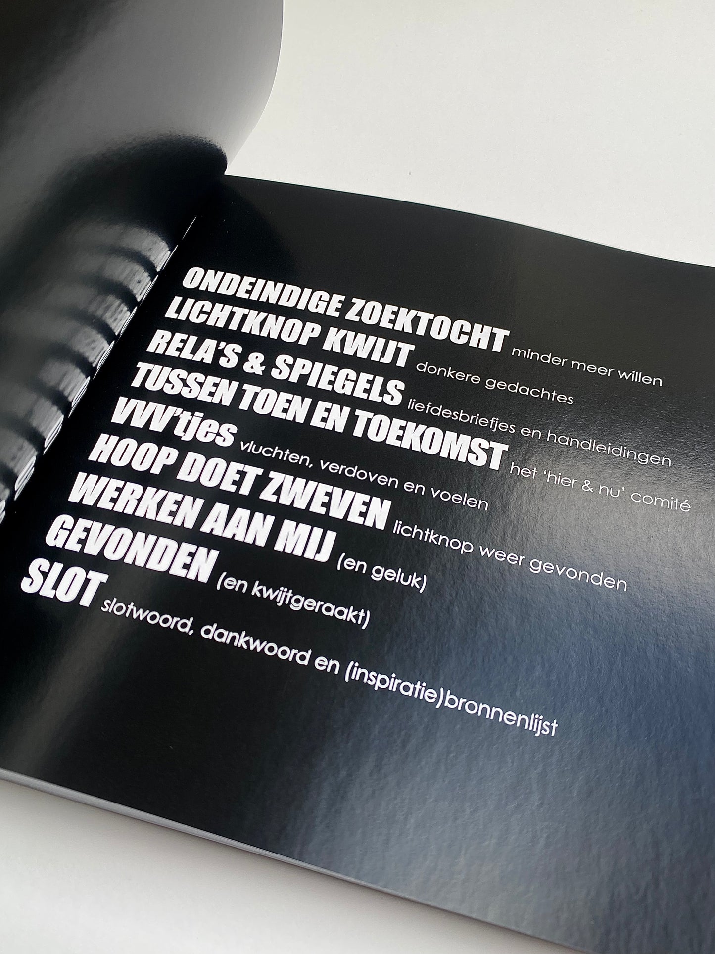 TUSSEN LICHT & DONKER - tweede boek (2024)